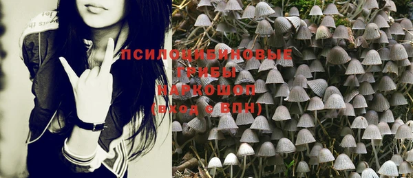 тгк Наволоки