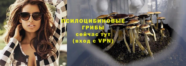 бошки Нефтегорск
